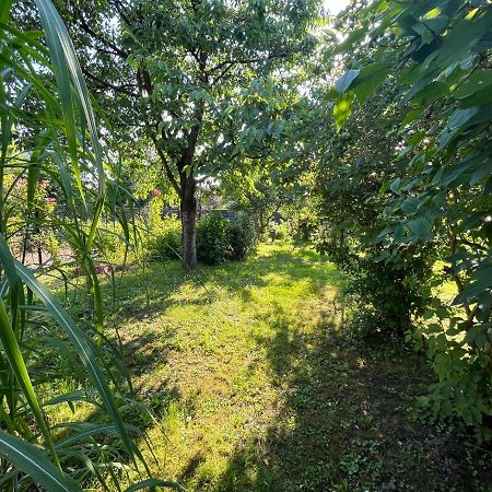 Apartament Wojska Polskiego 35 Villa Wadowice Eksteriør billede