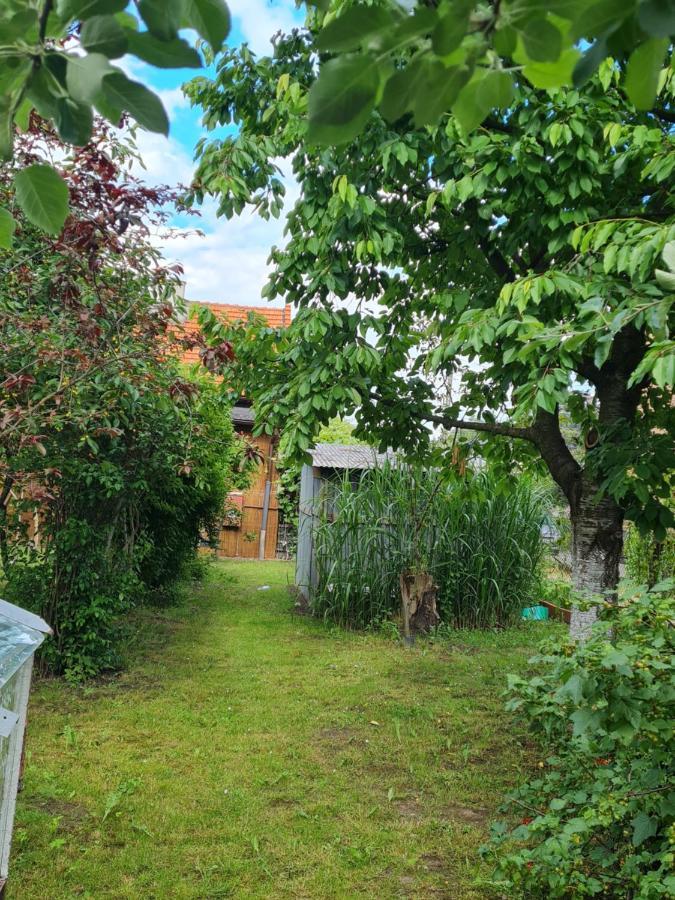 Apartament Wojska Polskiego 35 Villa Wadowice Eksteriør billede
